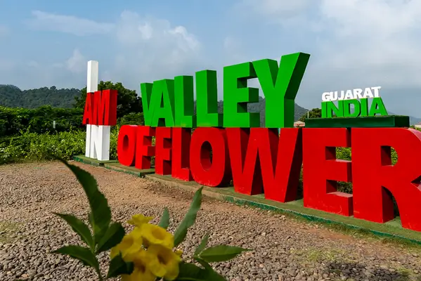 vally of flower